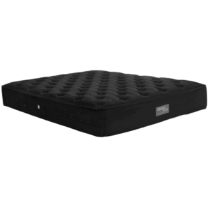 EN32 BLACK PREMIUM PLUS ORIONZONE HIGH POCKET